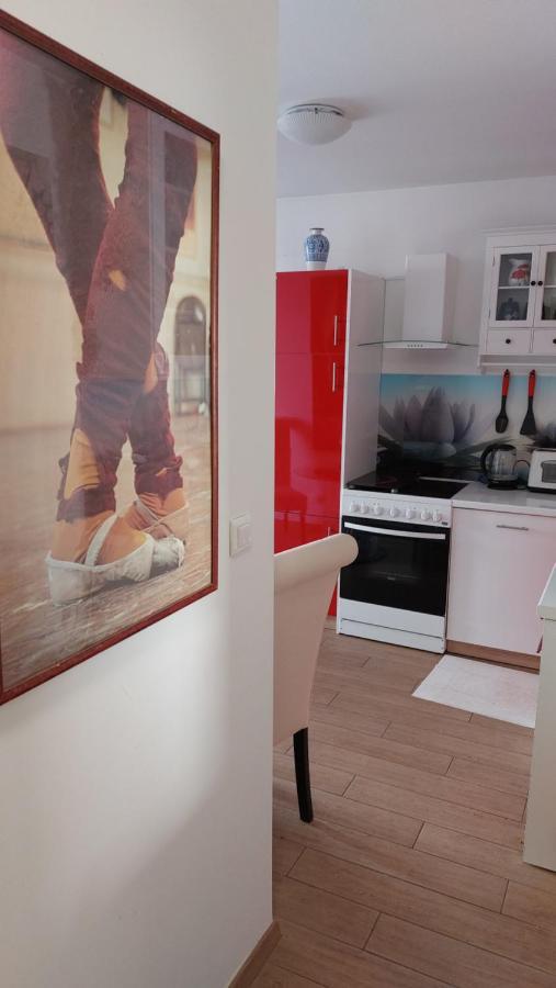 Apartment Buchholz プーラ エクステリア 写真